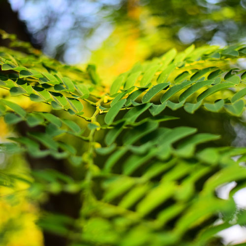 上市公司logo設(shè)計,深圳商標(biāo)設(shè)計 logo設(shè)計,深圳標(biāo)志設(shè)計公司