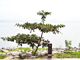 會展企業(yè)標(biāo)志設(shè)計_設(shè)計美學(xué),深圳商標(biāo)設(shè)計公司 深圳平面設(shè)計公司,深圳標(biāo)志設(shè)計