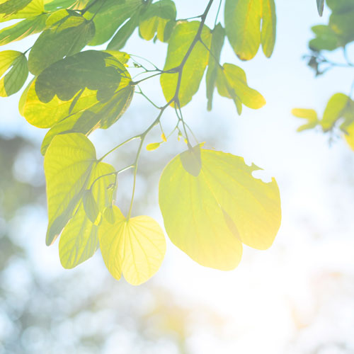 高檔標志設計,深圳商標設計公司