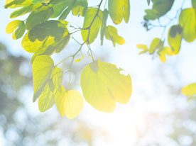 化妝品標志設計，深圳標志設計