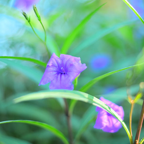 幻燈片設計,深圳標志設計公司