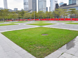 運動品牌商標設計，深圳商標設計