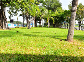 畫(huà)冊(cè)設(shè)計(jì)公司，深圳商標(biāo)設(shè)計(jì)