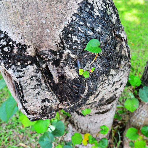 logo設(shè)計(jì)師,深圳商標(biāo)設(shè)計(jì)公司