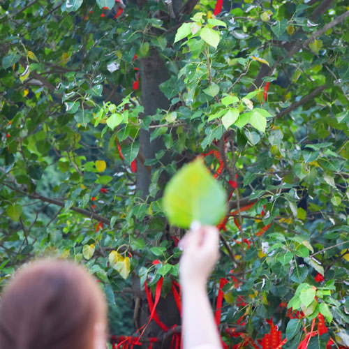 品牌戰略策劃,品牌商標設計