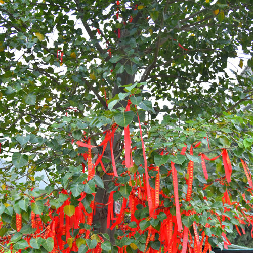 品牌戰略策劃,品牌商標設計 深圳標志設計,品牌全案策劃