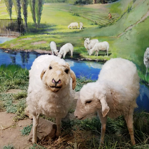 塑造品牌,品牌策劃