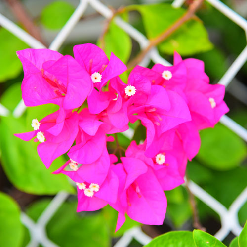 企業(yè)標(biāo)志設(shè)計(jì),深圳商標(biāo)設(shè)計(jì) 企業(yè)logo設(shè)計(jì),深圳標(biāo)志設(shè)計(jì)公司,企業(yè)標(biāo)志設(shè)計(jì)