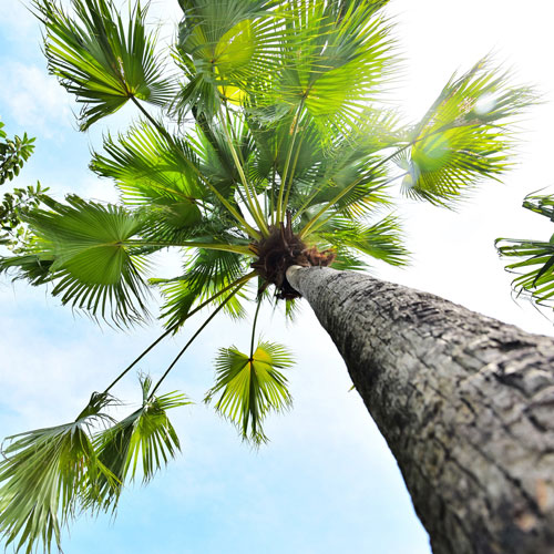 包裝設(shè)計,深圳標(biāo)志設(shè)計公司