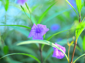 產(chǎn)品包裝設(shè)計(jì)，深圳標(biāo)志設(shè)計(jì)