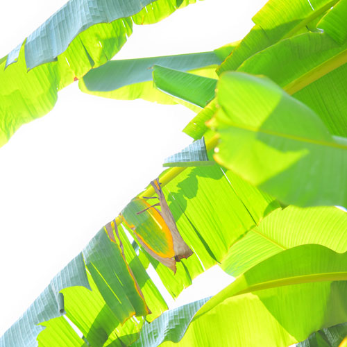 平面廣告設(shè)計(jì),深圳標(biāo)志設(shè)計(jì)公司,深圳平面設(shè)計(jì)公司