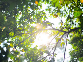 證券期貨公司標志設計，深圳商標設計