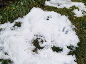 宣傳設計,深圳商標設計