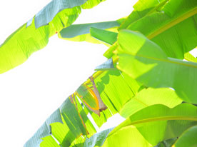 深圳VI設計公司,企業標志設計