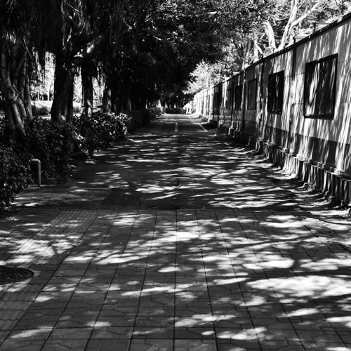 品牌標志設計,企業(yè)標志設計