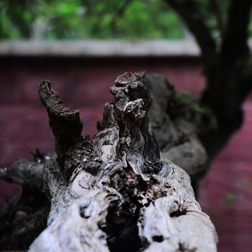 深圳標志設計公司,包裝設計,深圳商標設計