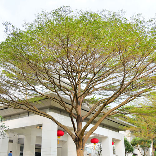 深圳標志設計公司,深圳商標設計 標志設計,日用電器企業標志設計,深圳標志設計公司