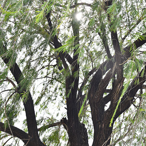 品牌logo設(shè)計(jì),深圳商標(biāo)設(shè)計(jì)公司,品牌標(biāo)志設(shè)計(jì)