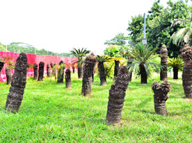 品牌商標設計,深圳商標設計