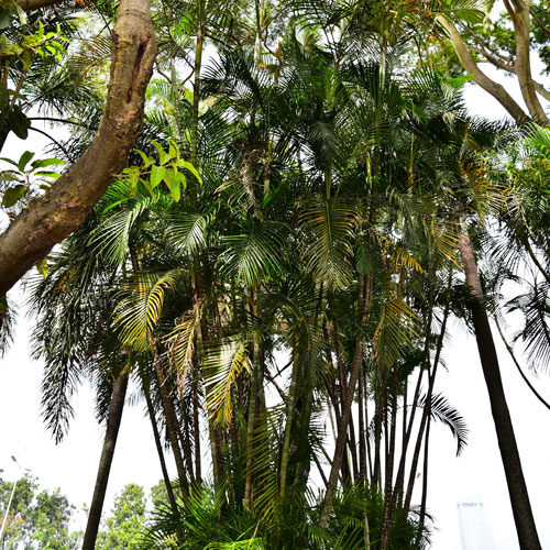 科技、光伏公司標(biāo)志設(shè)計(jì),深圳標(biāo)志設(shè)計(jì)公司,綠色住區(qū)環(huán)境設(shè)計(jì)