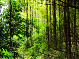 企業(yè)商標(biāo)設(shè)計(jì),深圳標(biāo)志設(shè)計(jì)