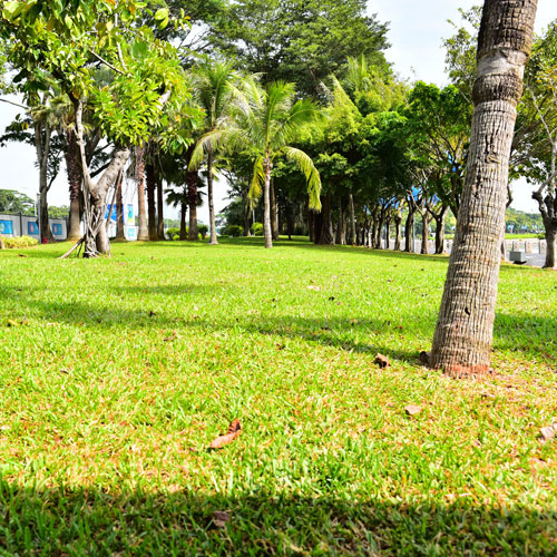 企業標志設計,深圳商標設計公司,企業商標設計