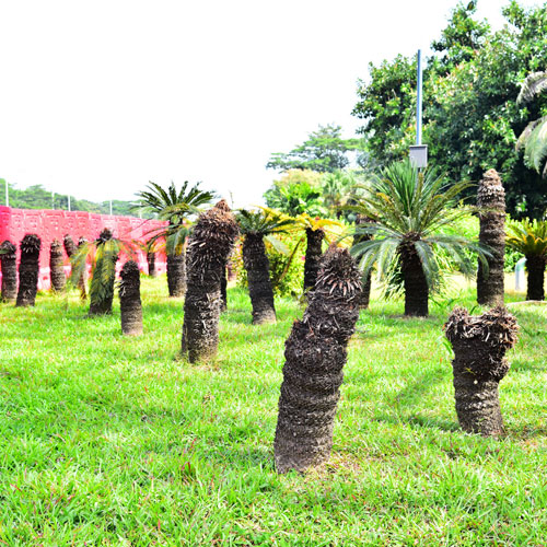 包裝設計公司,深圳商標設計公司,公司標志設計