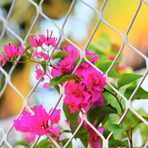 網絡品牌建設,深圳商標設計公司,logo設計公司