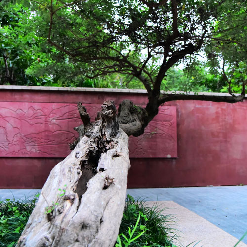 家具標志設(shè)計,深圳標志設(shè)計公司,家具商標設(shè)計公司